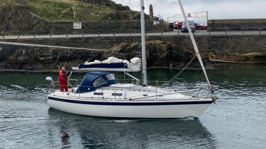 IMG_1411 vid 1000pix.jpg