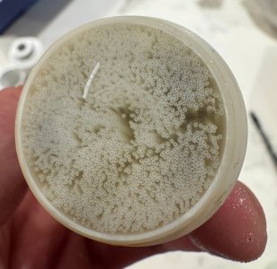 IMG_6926.JPG IMG_6926.JPG