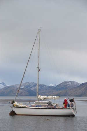 DSC_0116.jpeg DSC_0116.jpeg