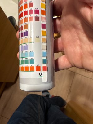 Water testing_1.jpeg