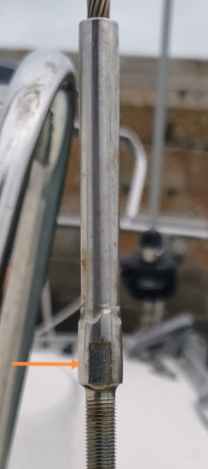 IMG_20251030_202136.jpg IMG_20251030_202136.jpg