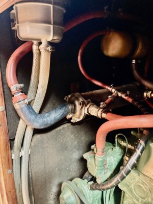 IMG_2499.jpeg IMG_2499.jpeg