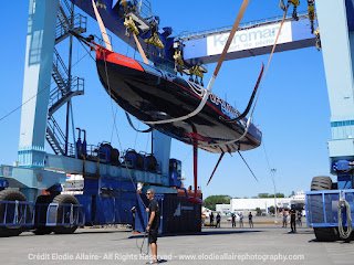 credit Elodia Allaire charal2 eau.jpg