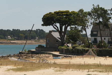 P1080249.JPG P1080249.JPG