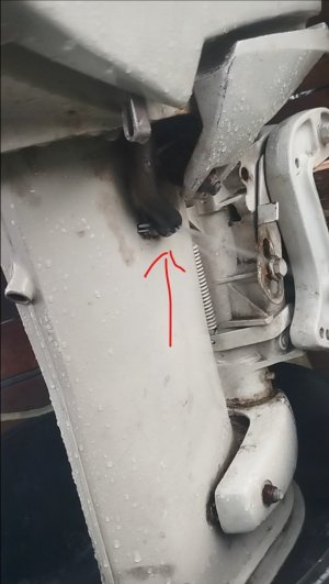 Screenshot 2025-11-02 221949.jpg