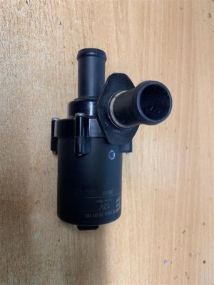 IMG_4867 (Medium).JPG