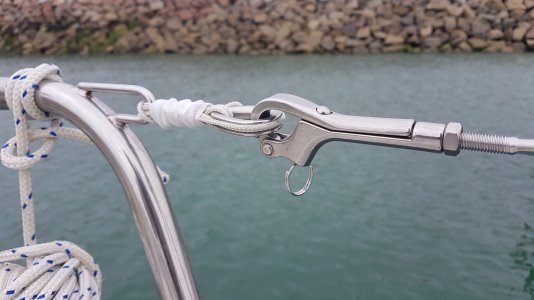 Guard wires 2.jpg Guard wires 2.jpg