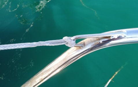 dynpulp.jpg dynpulp.jpg