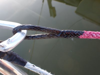 1762962629591.jpeg 1762962629591.jpeg