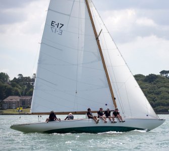 IMG_0367.jpeg IMG_0367.jpeg