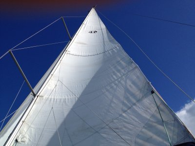Mainsail.jpg