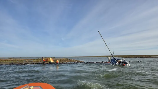 1763066375423.png 1763066375423.png