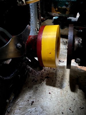 IMG_4248.jpeg IMG_4248.jpeg