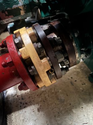 IMG_4241.jpeg IMG_4241.jpeg