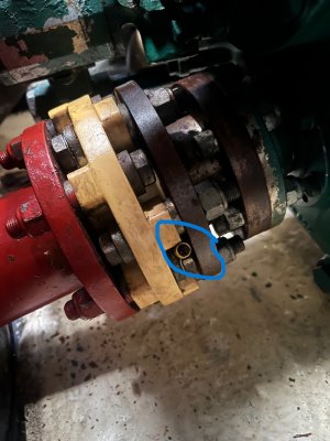 IMG_4241.jpeg IMG_4241.jpeg