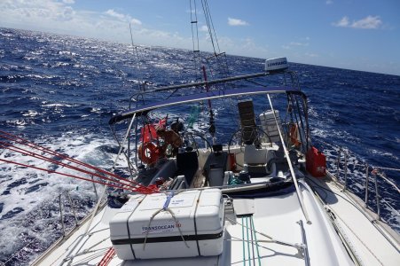 IMG-20251115-WA0005.jpg IMG-20251115-WA0005.jpg