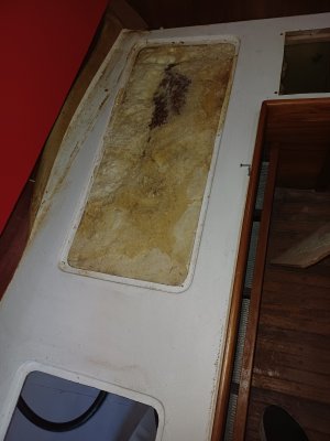 20251115_123759.jpg 20251115_123759.jpg