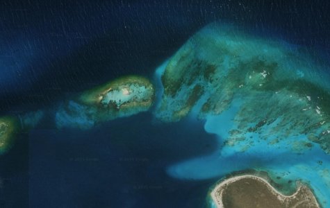 IMG_8966.jpeg IMG_8966.jpeg