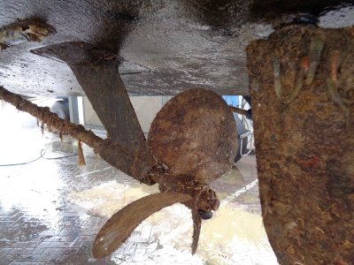 #16 Neptune Marina Liftout.JPG #16 Neptune Marina Liftout.JPG