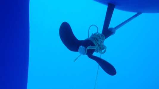 P5160053.JPG P5160053.JPG