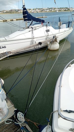 WhatsApp Image 2025-11-16 at 13.47.00_93999403.jpg