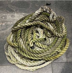 IMG_5988.jpeg IMG_5988.jpeg