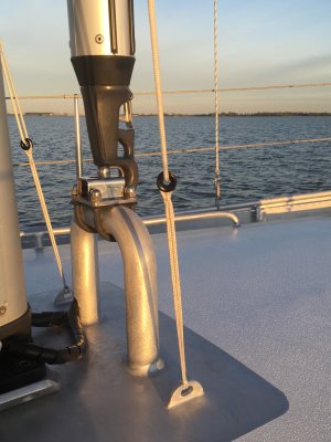 IMG_6678.jpeg IMG_6678.jpeg