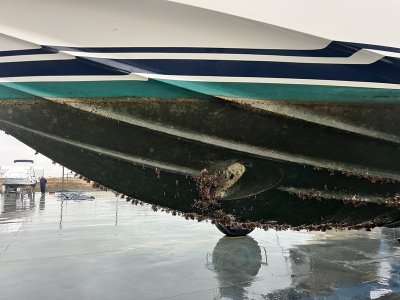 IMG_1136.resized.JPG IMG_1136.resized.JPG