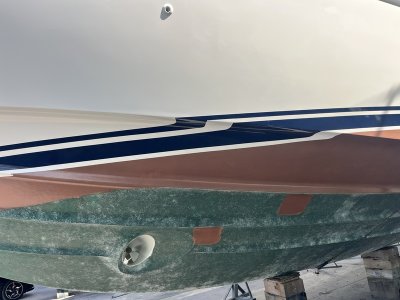 IMG_2966.resized.JPG IMG_2966.resized.JPG