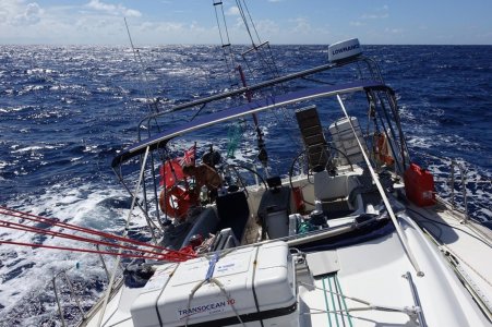 IMG-20251115-WA0005.jpg IMG-20251115-WA0005.jpg