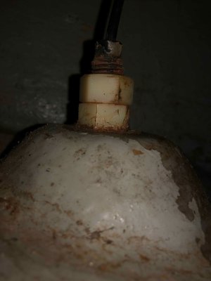 IMG_7780.jpeg IMG_7780.jpeg