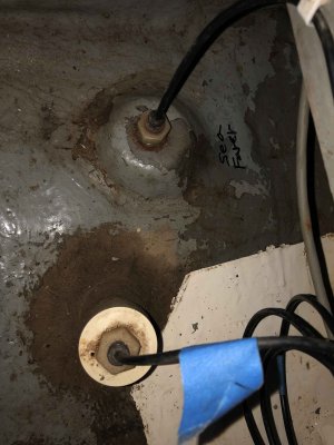 IMG_7782.jpeg IMG_7782.jpeg