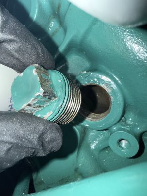 IMG_3529.jpeg IMG_3529.jpeg