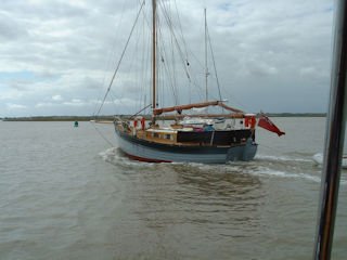 Andromedia.jpg Andromedia.jpg