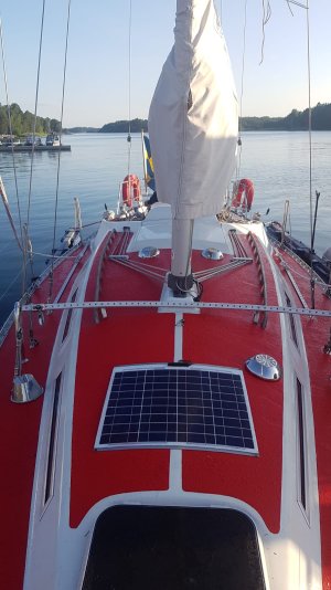 july 13 2023 first see 2.jpg july 13 2023 first see 2.jpg