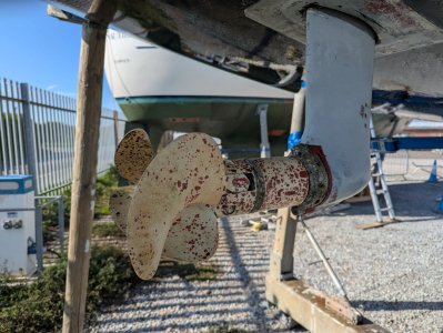 Velox after one year.jpg