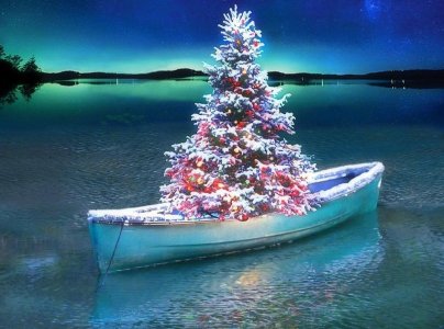 WBoot-01-1.jpg WBoot-01-1.jpg