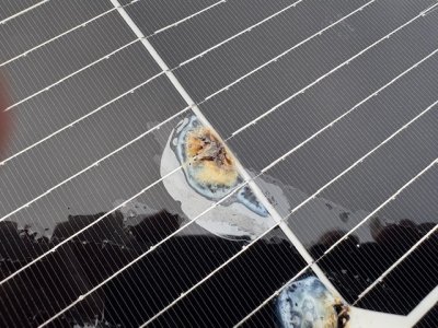 IMG_0406.jpeg IMG_0406.jpeg