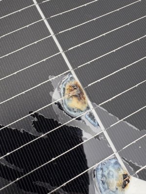 IMG_0411.jpeg IMG_0411.jpeg