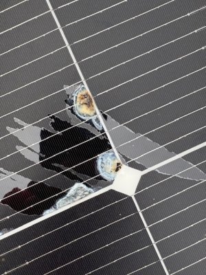 IMG_0408.jpeg IMG_0408.jpeg