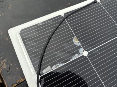 IMG_0405.jpeg IMG_0405.jpeg