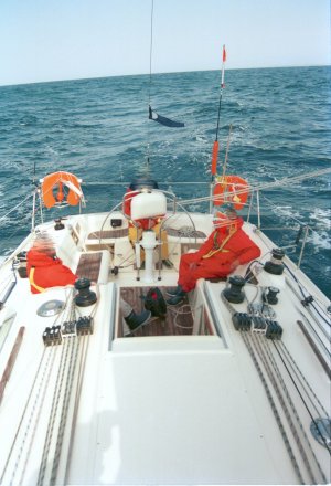 Barracuda (5 of 6).jpg