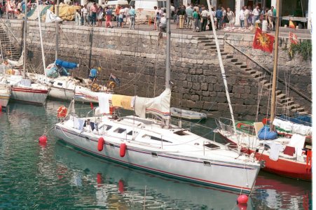 Barracuda (3 of 6).jpg