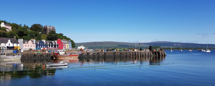 Screenshot 2025-12-29 172204.jpg Screenshot 2025-12-29 172204.jpg