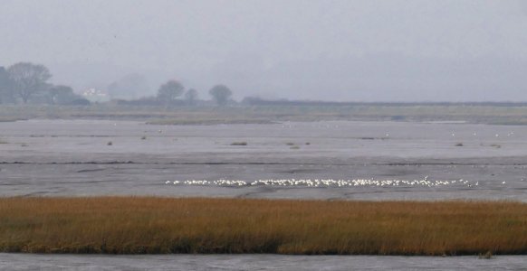 P1070533.JPG P1070533.JPG