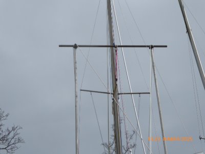 P1010996.JPG P1010996.JPG