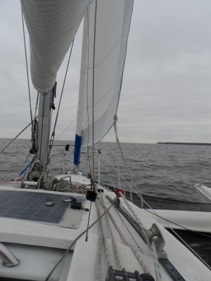 1767456418282.jpeg 1767456418282.jpeg