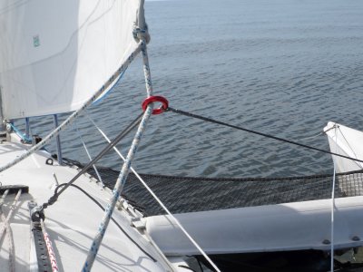 1767456460792.jpeg 1767456460792.jpeg