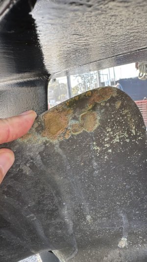 IMG_6308 (1).jpg IMG_6308 (1).jpg