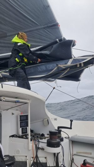 G40 whiskey jack 3.jpg